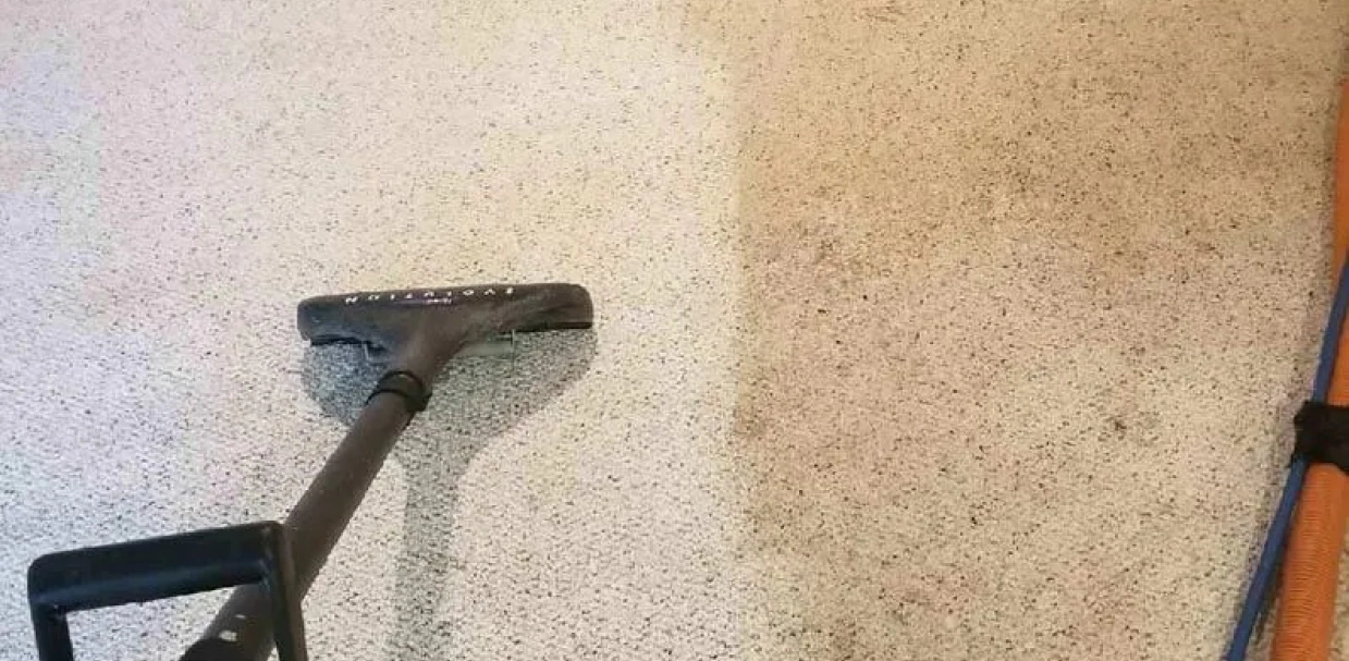 Carpet Cleaning